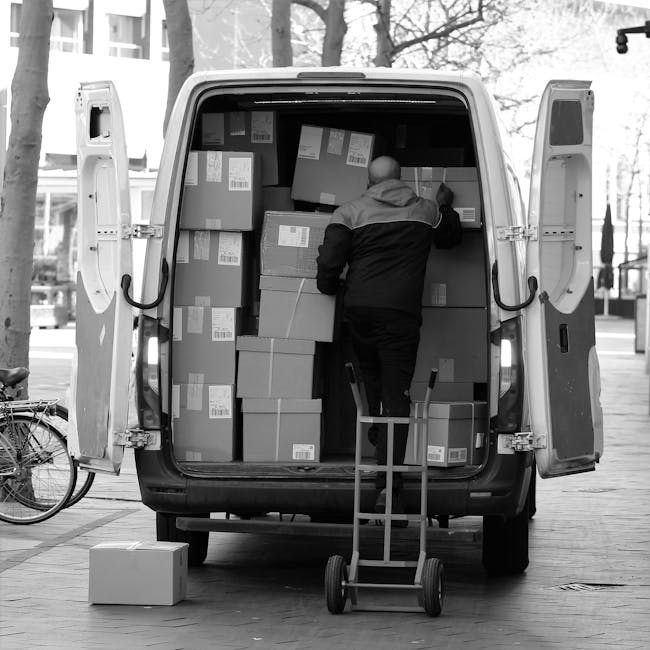 A man wearing a jacket is seen loading or unloading numerous cardboard boxes into the back of a white panel van situated on a paved pedestrian area. The van's rear doors are wide open, revealing that 